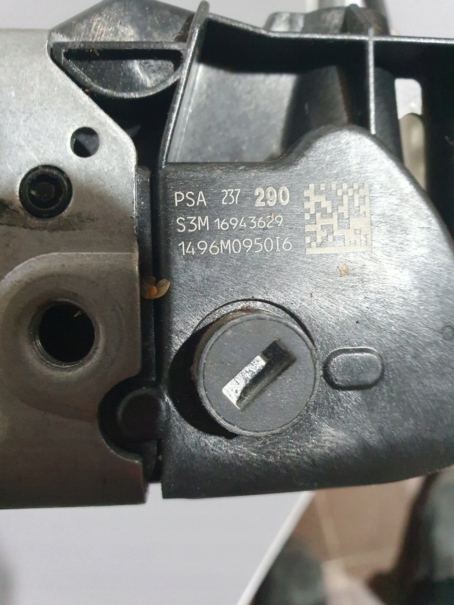 18135496003
